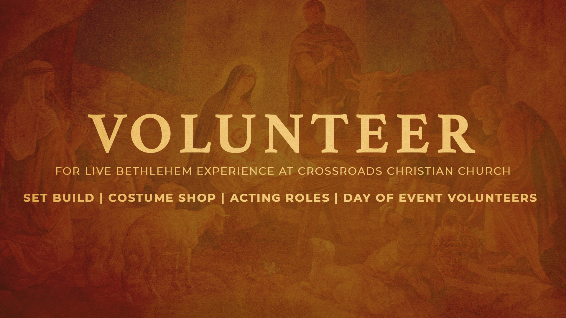 Bethlehem Experience - Volunteer